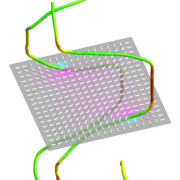 Simulated disclinations in a square capillary